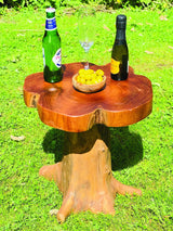 Root Mushroom Lamp Table/Mini Stool