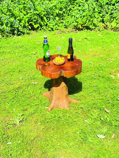 Root Mushroom Lamp Table/Mini Stool