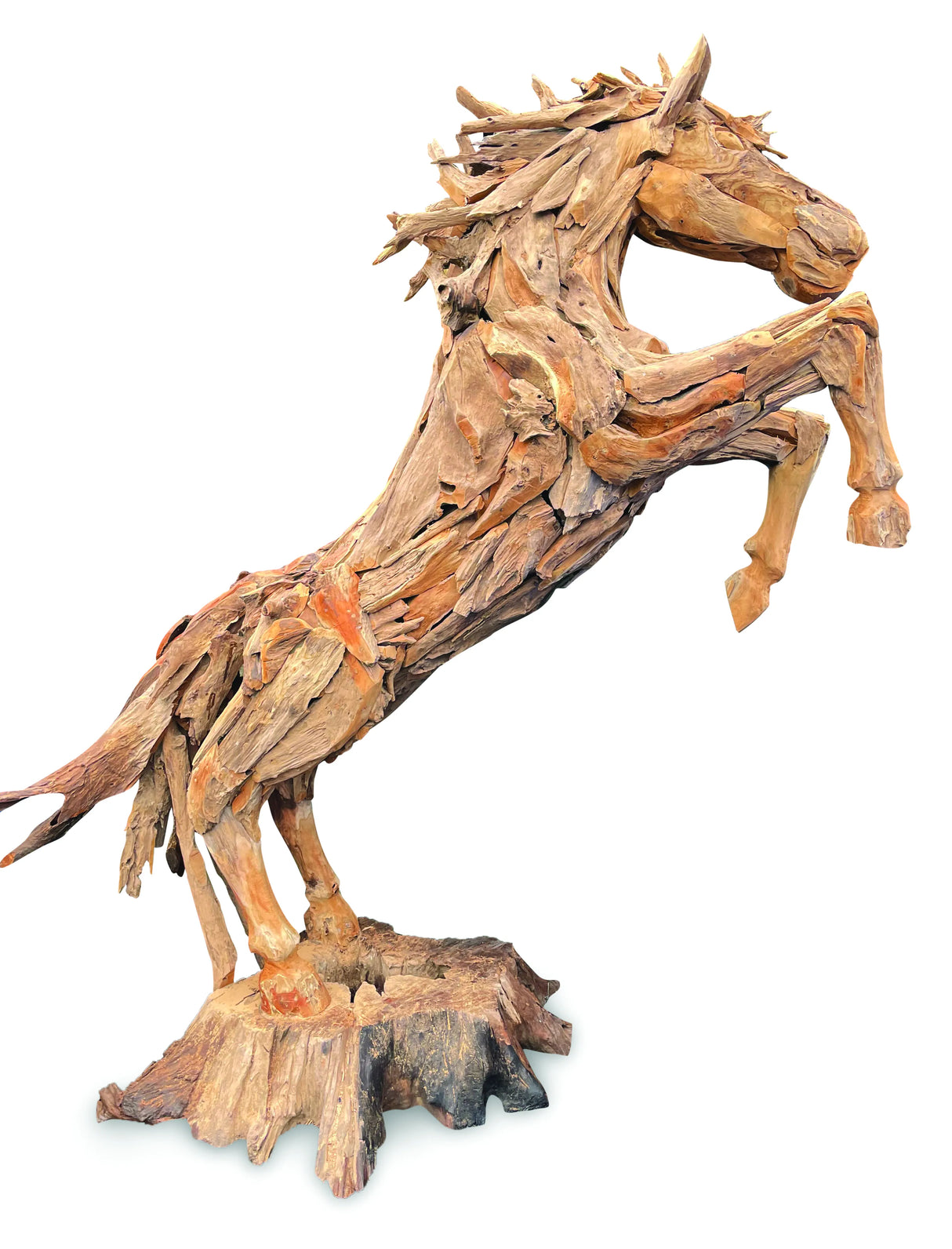 ROOT STANDING HORSE