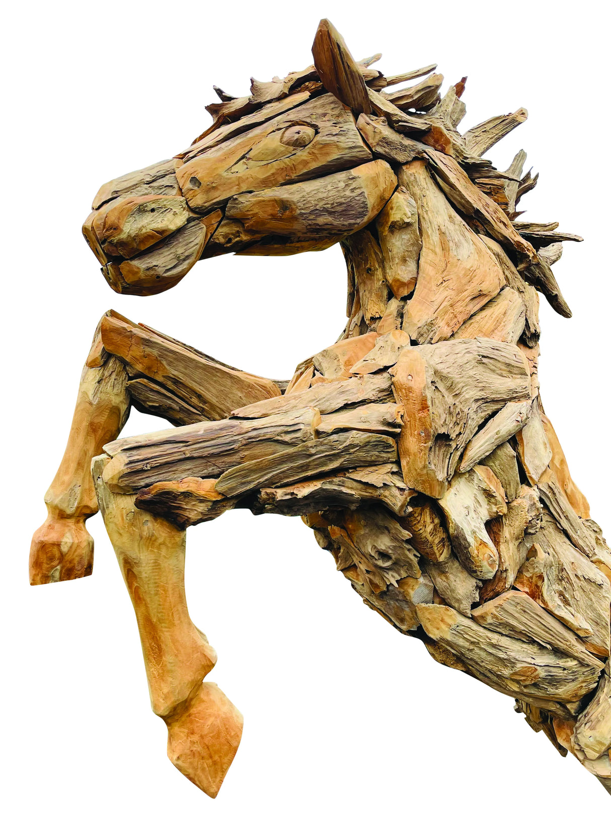 ROOT STANDING HORSE