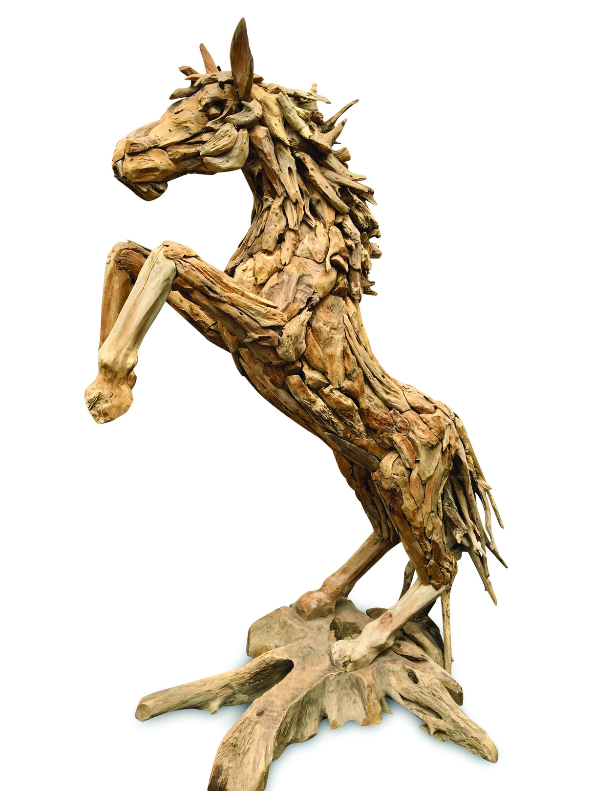 ROOT STANDING HORSE