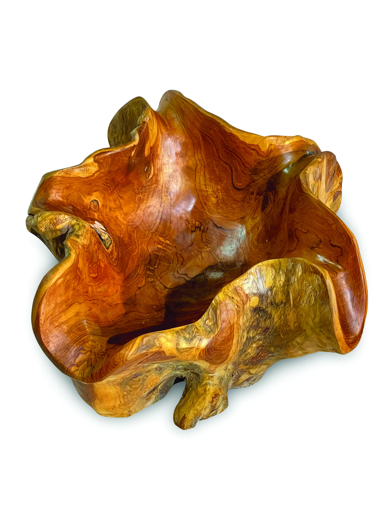 Root Natural Planter/Bowl Small