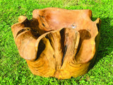 Root Natural Planter/Bowl Small