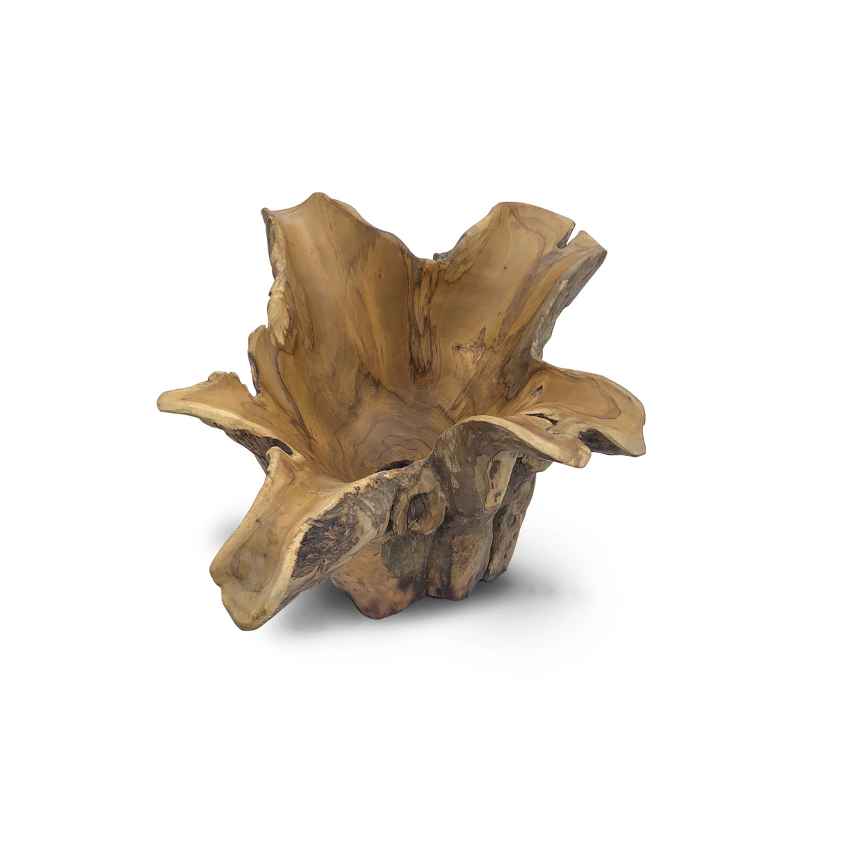 Root Natural Planter/Bowl Small