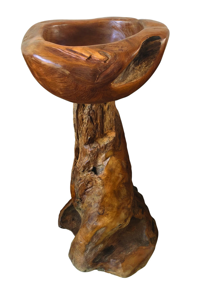 Root Bird Bath