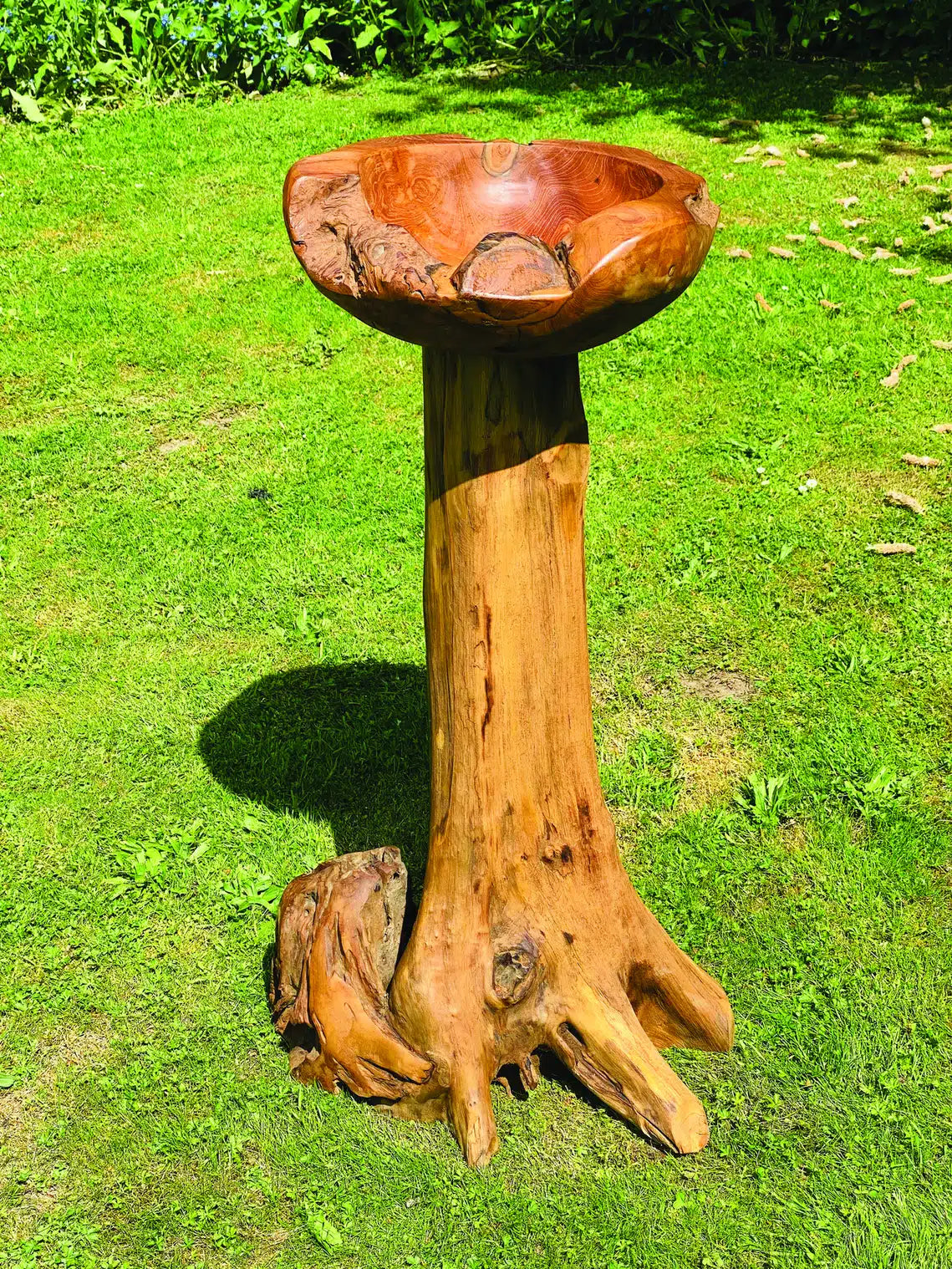 Root Bird Bath