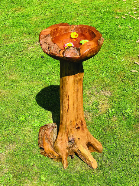 Root Bird Bath