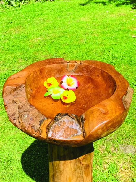 Root Bird Bath