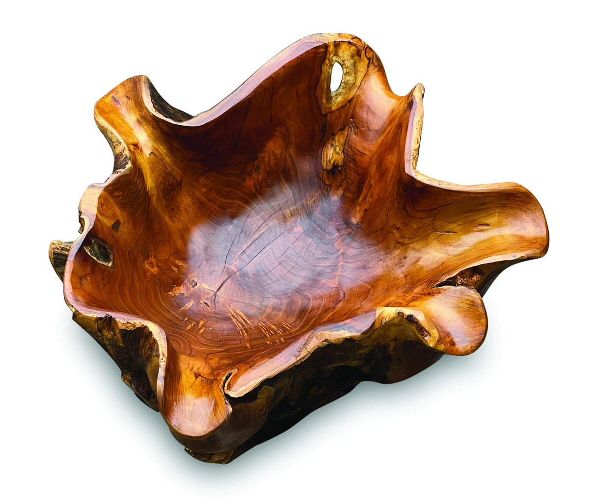 Root Natural Planter/Bowl Large
