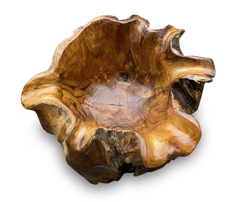Root Natural Planter/Bowl Large