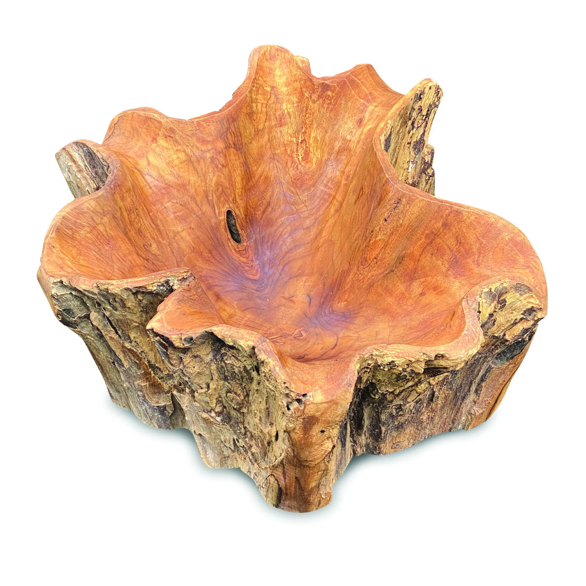 Root Natural Planter/Bowl Large