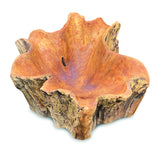 Root Natural Planter/Bowl Large
