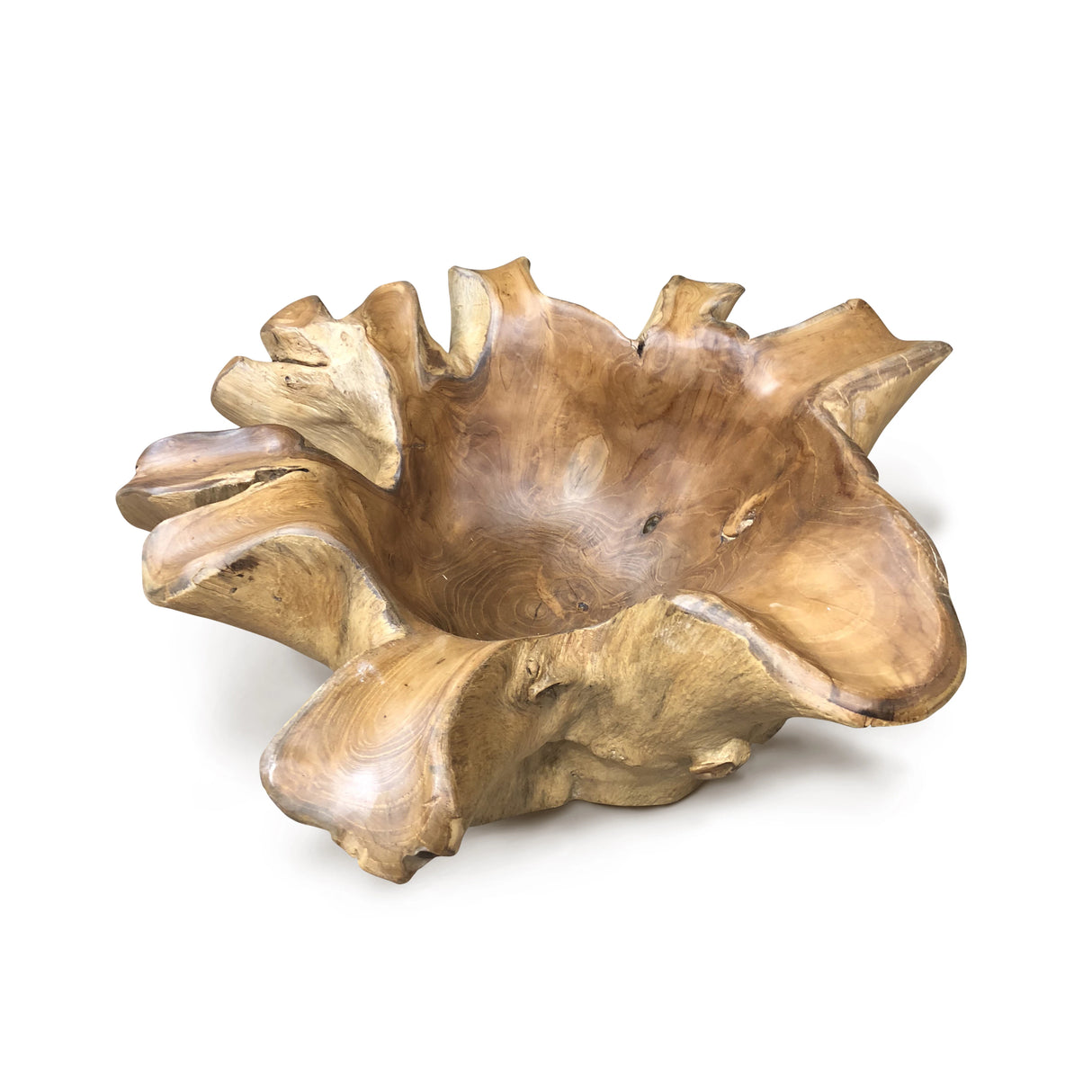 Root Natural Planter/Bowl Large