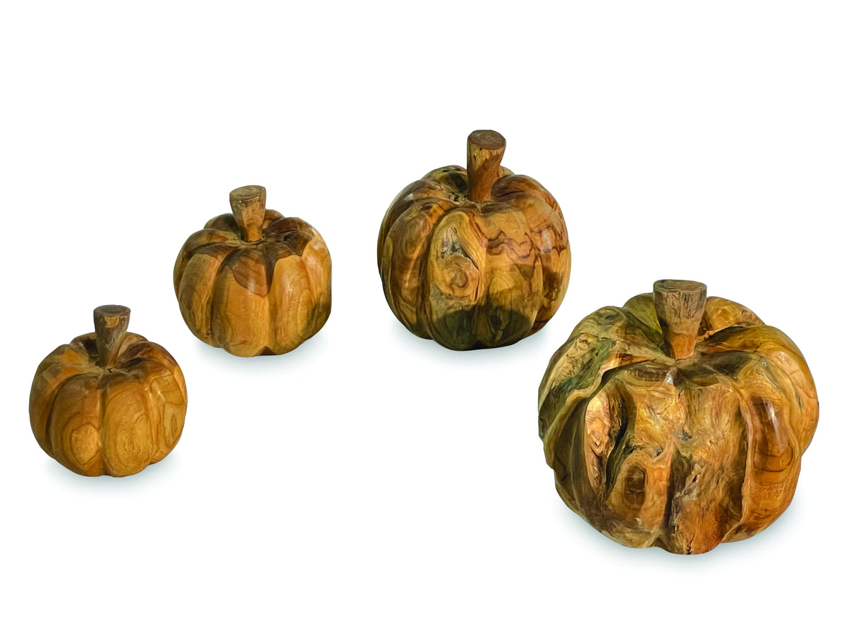 Root Pumpkins Set Of 4