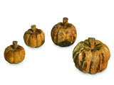 Root Pumpkins Set Of 4
