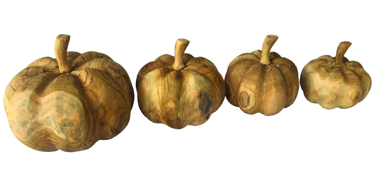 Root Pumpkins Set Of 4