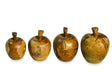 Root Apples Set Of 4