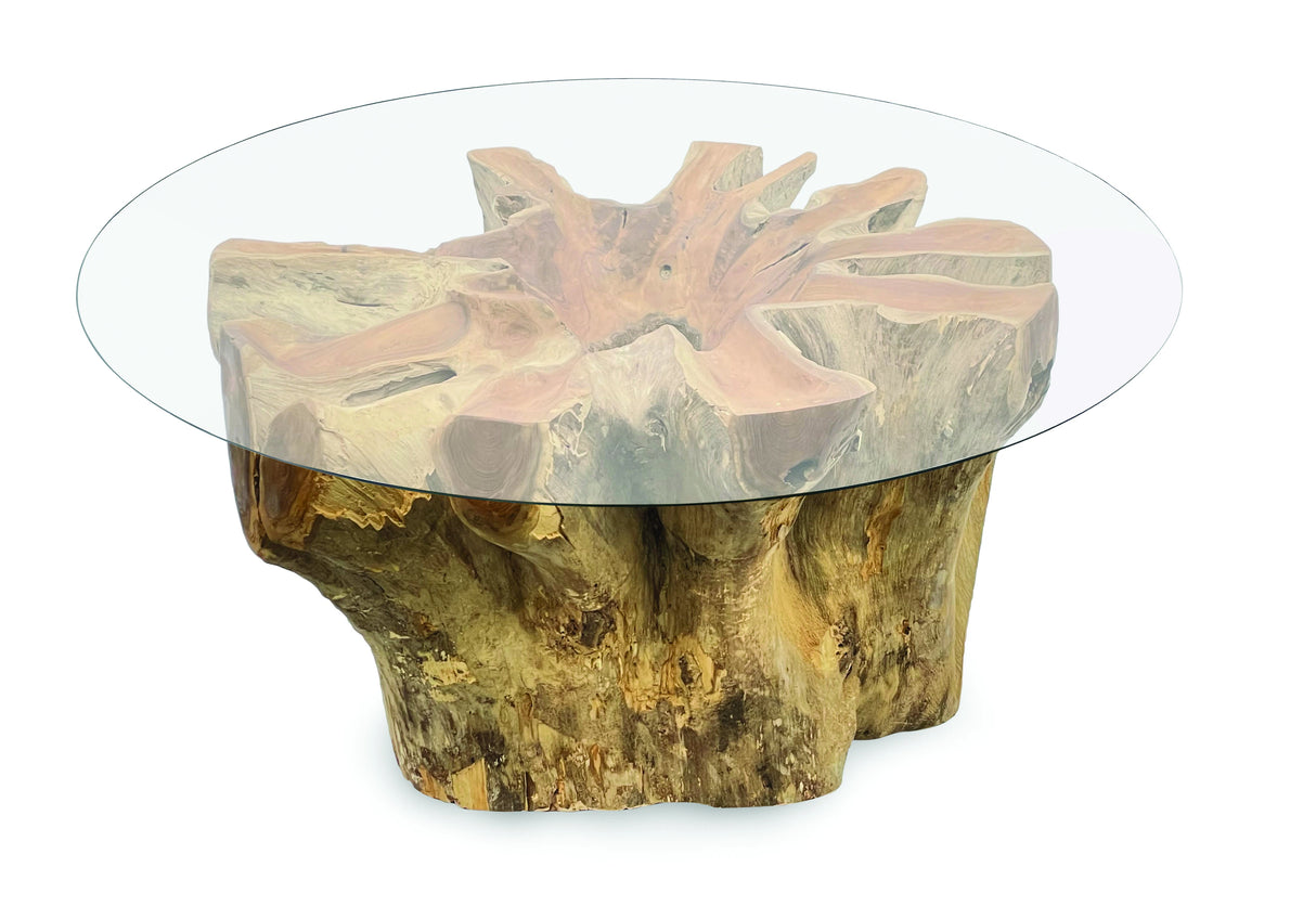 Root Lombok Coffee Table Round Small With 90cm Round Glass