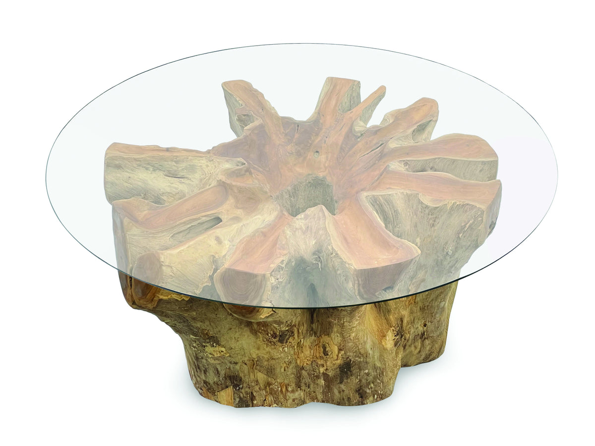 Root Lombok Coffee Table Round Small With 90cm Round Glass
