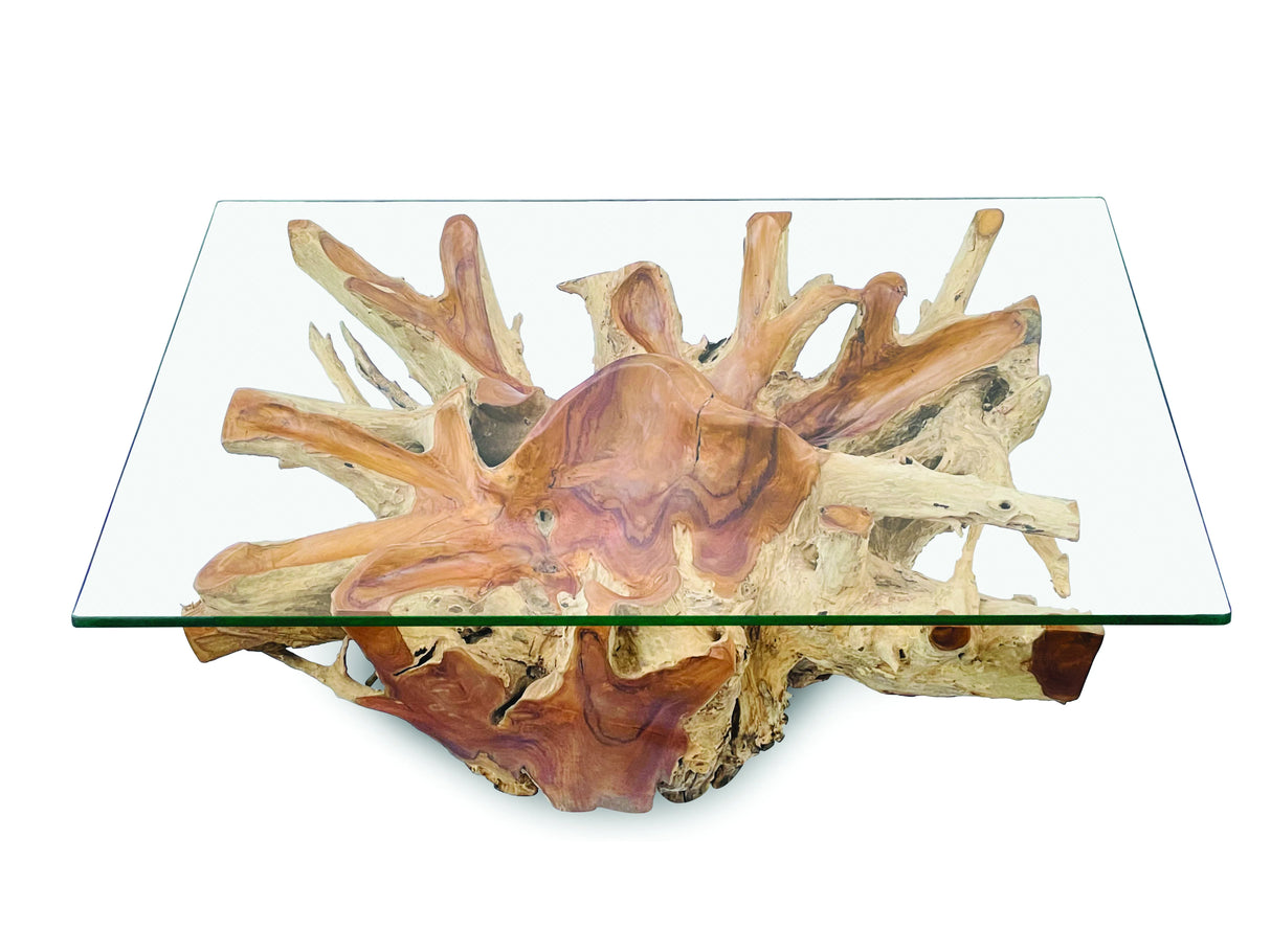 Root Lombok Coffee Table Rectangle With 100 X 70cm Glass