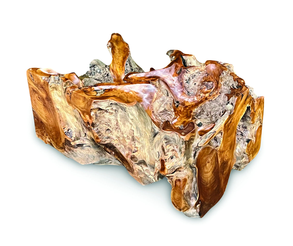 Root Lombok Coffee Table Rectangle With 100 X 70cm Glass