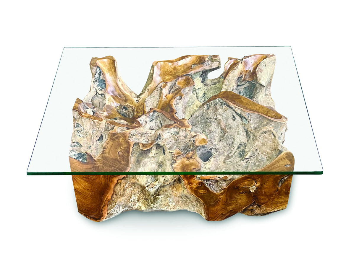 Root Lombok Coffee Table Rectangle With 100 X 70cm Glass