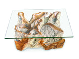 Root Lombok Coffee Table Rectangle With 100 X 70cm Glass