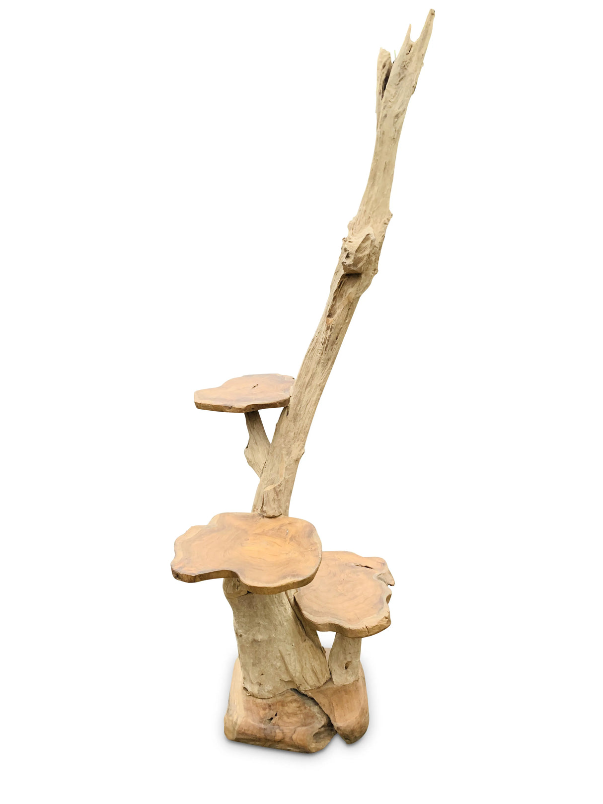 Root Small Display Stand