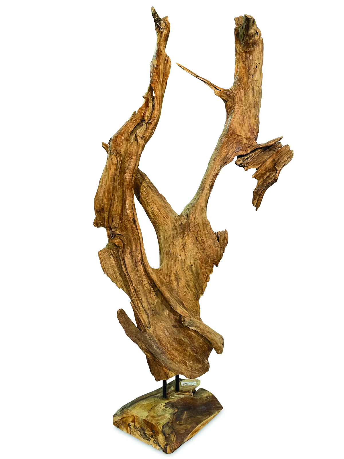 Root Forest Sculpture Large