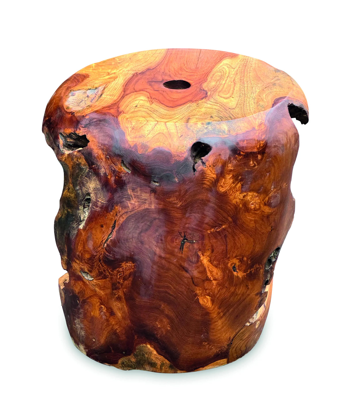 Root Ball Parasol Base Holder