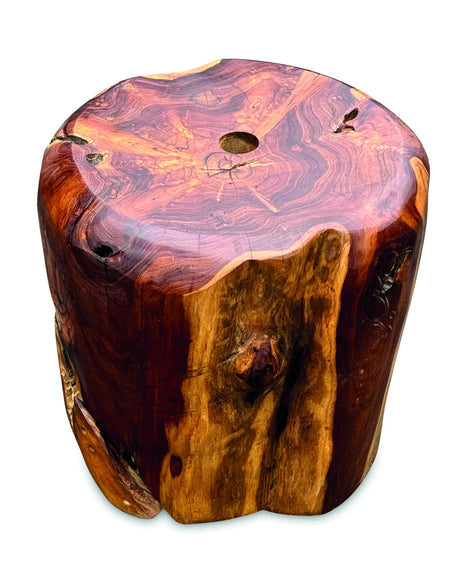 Root Ball Parasol Base Holder