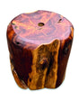 Root Ball Parasol Base Holder