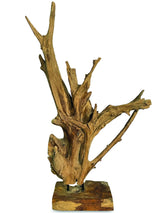 root forest sculpture small