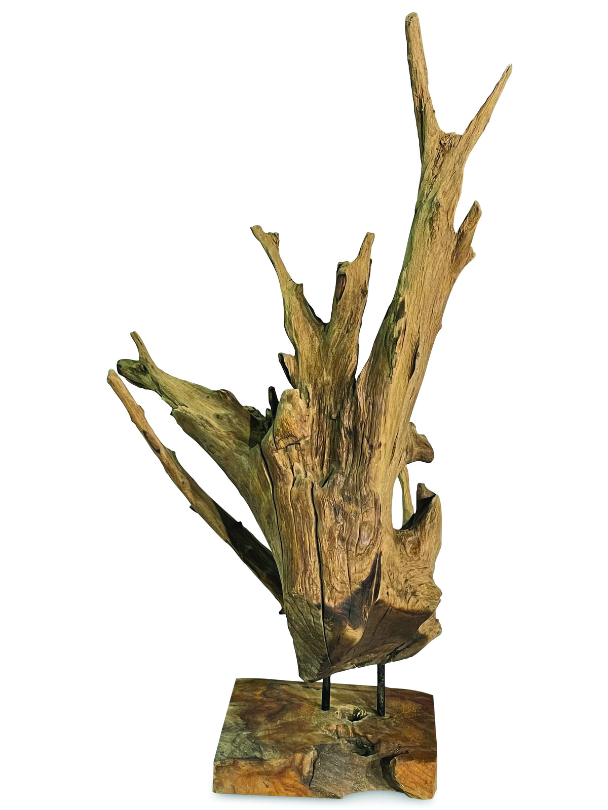 root forest sculpture small