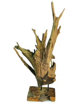 root forest sculpture small