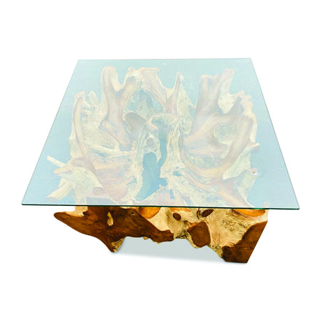 Root Square Lombok Coffee Table With 90x90cm Glass