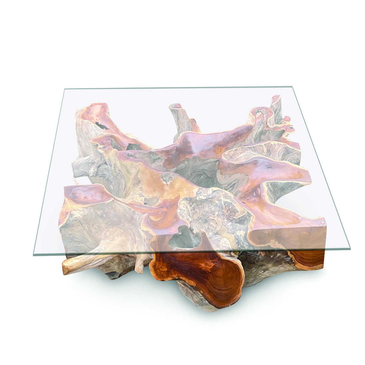 Root Square Lombok Coffee Table With 90x90cm Glass