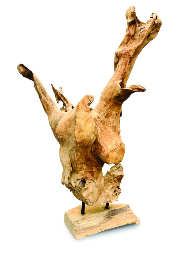 Root Forest Sculpture Mini 60cm (New Style + Bigger)