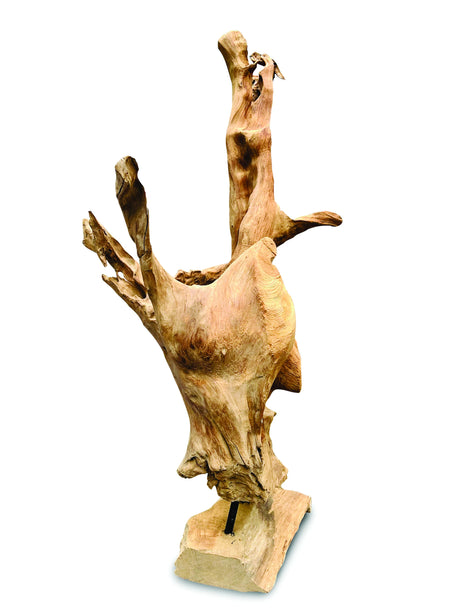 Root Forest Sculpture Mini 60cm (New Style + Bigger)
