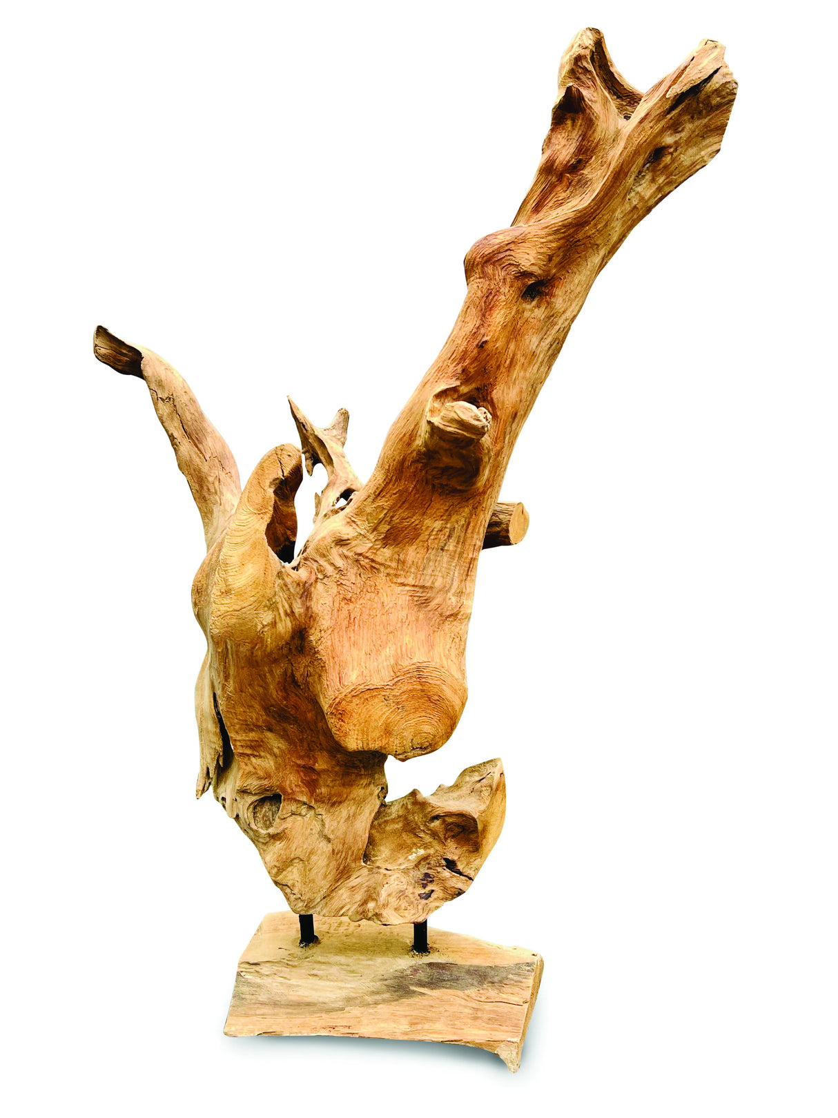 Root Forest Sculpture Mini 60cm (New Style + Bigger)
