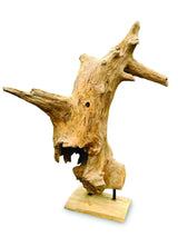 Root Forest Sculpture Mini 60cm (New Style + Bigger)