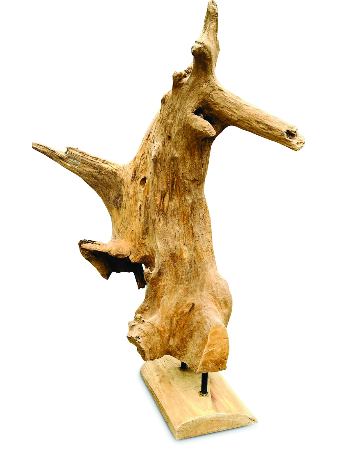 Root Forest Sculpture Mini 60cm (New Style + Bigger)