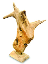 Root Forest Sculpture Mini 60cm (New Style + Bigger)