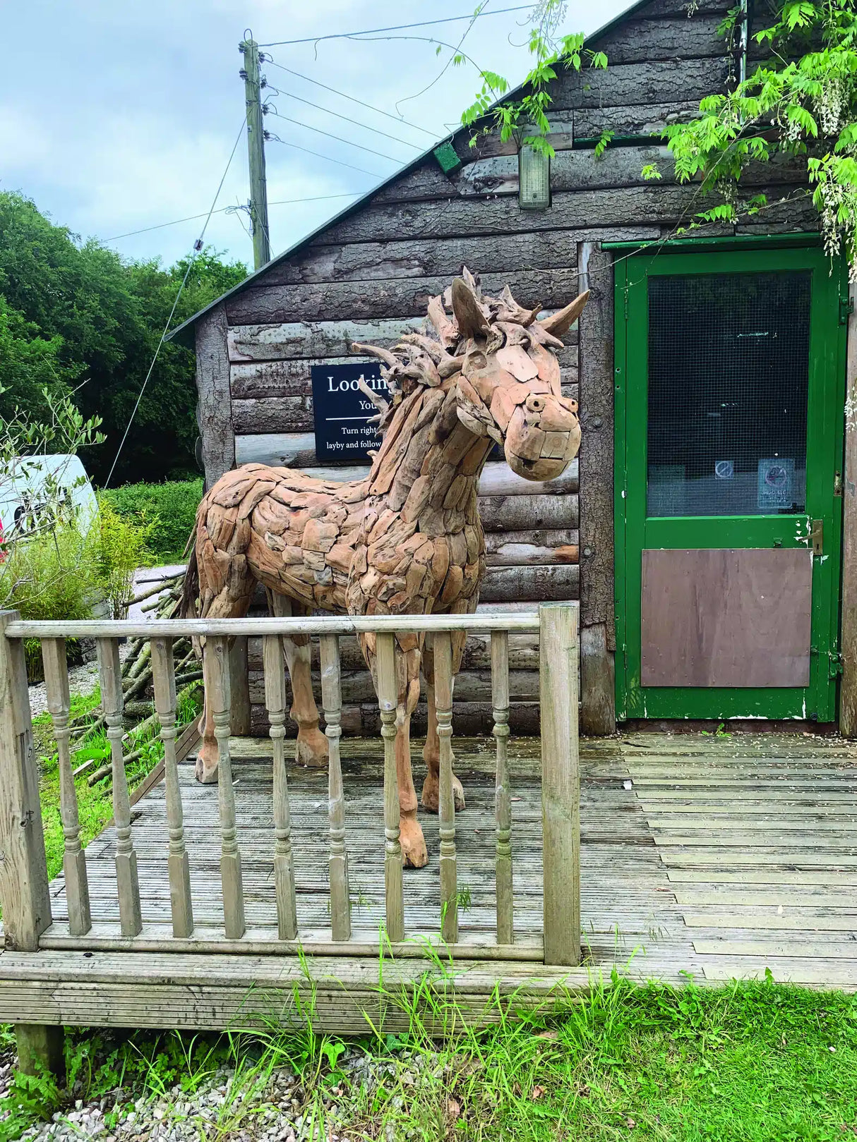 forest horse