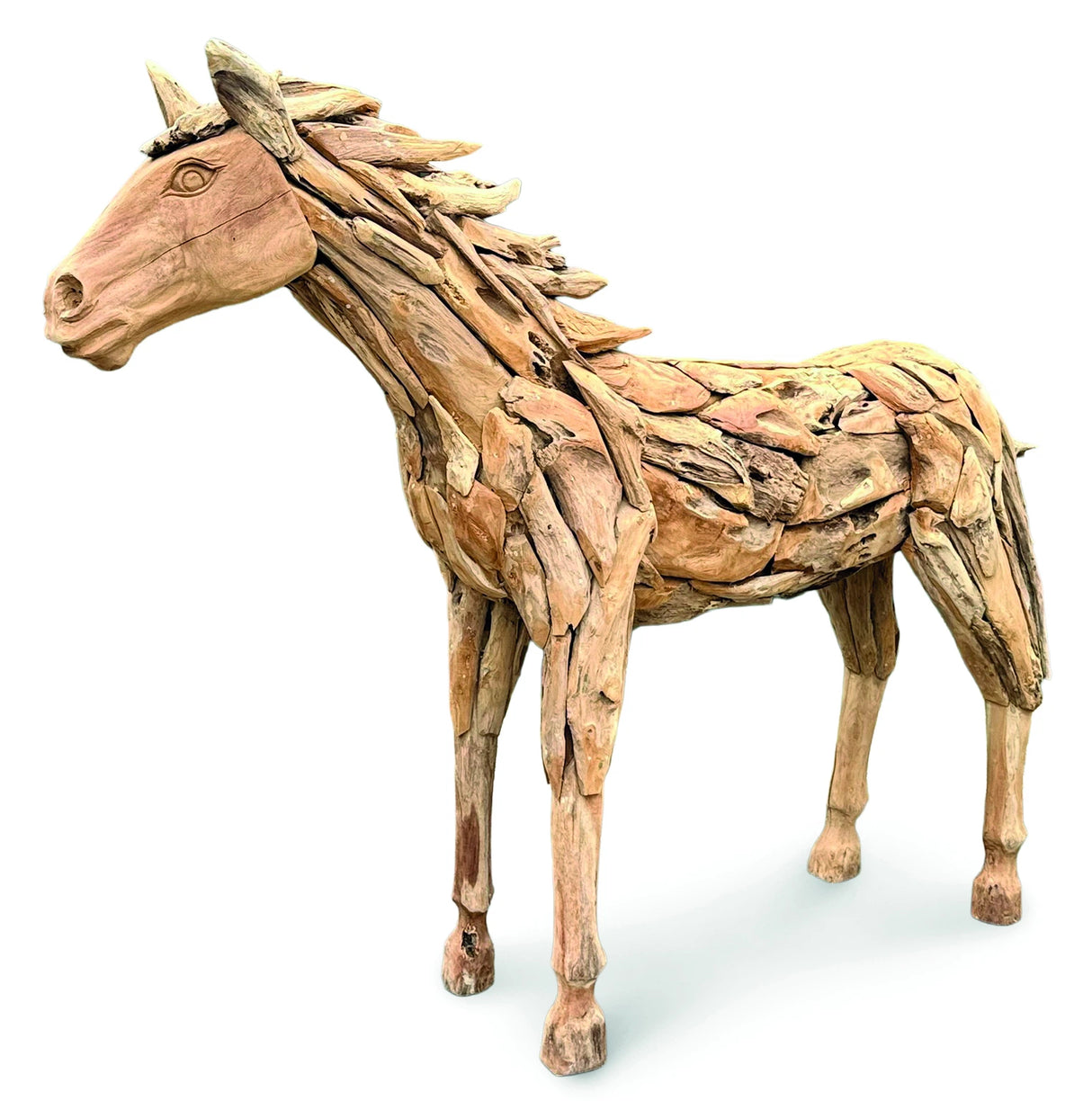 forest horse