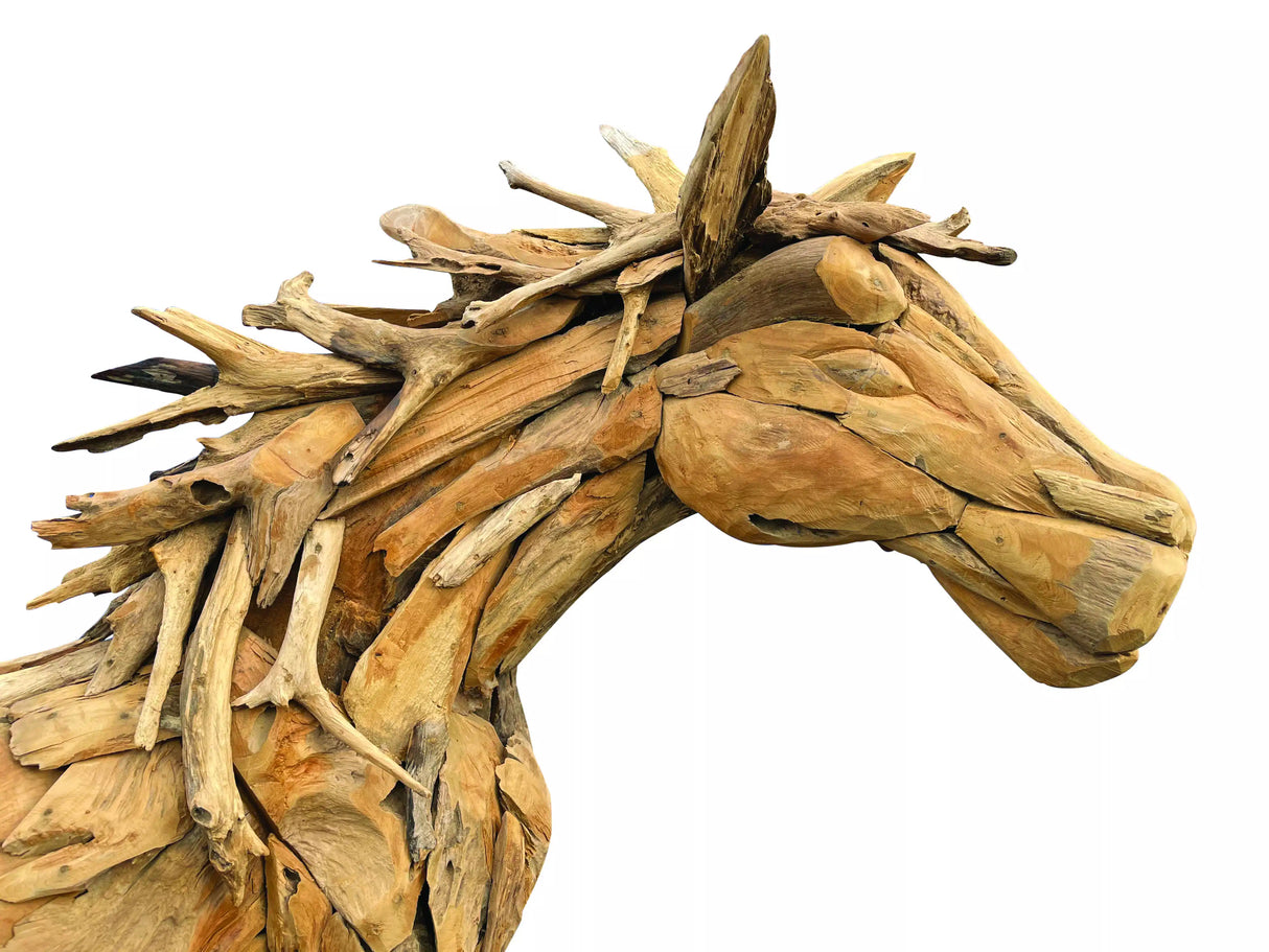 forest horse