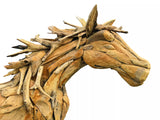 forest horse