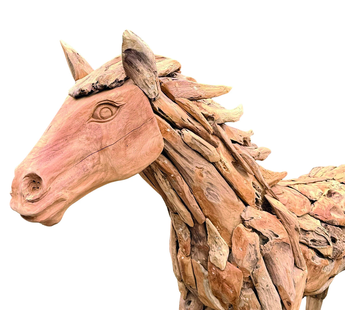 forest horse