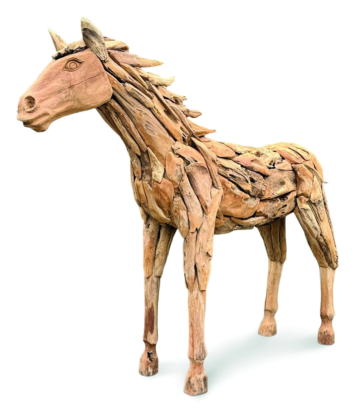 forest horse