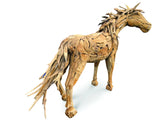forest horse